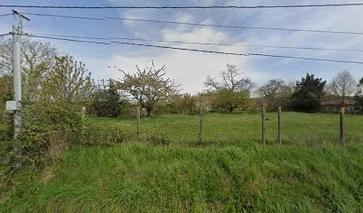 Bois Blanc Rouge, Négociant en Bois à Grisolles