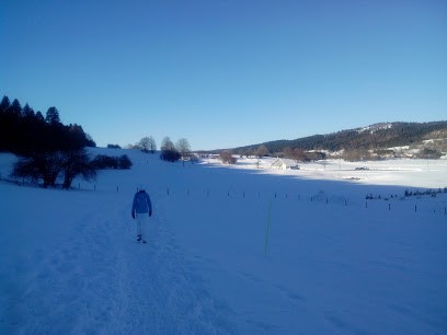 Cornu Pascal, Vendeur de Bois de Chauffage à La Chaux