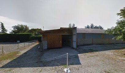 Marbach Earl, Vendeur de Bois de Chauffage à Hartmannswiller