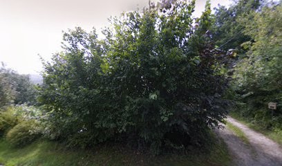 Koad Forest, Vendeur de Bois de Chauffage à La Forest-Landerneau