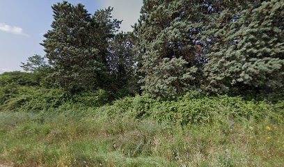 Thevenin Ducrot Distribution, Vendeur de Bois de Chauffage à Saint-Maximin-la-Sainte-Baume