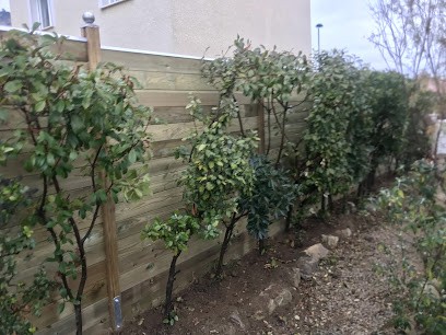 Mafbois, Négociant en Bois à Quatzenheim