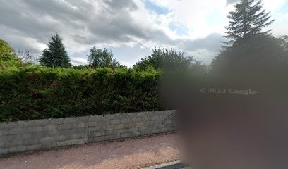 Thévenin Ducrot Distribution, Vendeur de Bois de Chauffage à Seurre