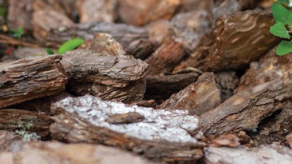JUNET KEVIN, Négociant en Bois à Ambérieux