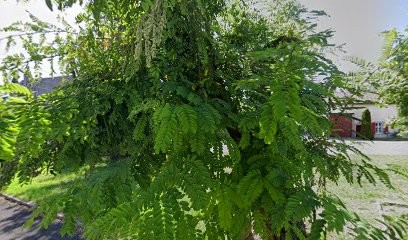 Platat Jean, Négociant en Bois à Dieue-sur-Meuse