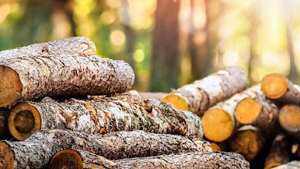 BOIS DU TRONCHET, Vendeur de Bois de Chauffage à Saint-Sauveur-Marville