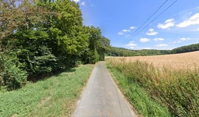 SOCIETE BOIS LES VALLEES (S.B.VAL), Vendeur de Bois de Chauffage à Bonneveau