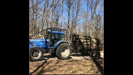 VG BOIS, Vendeur de Bois de Chauffage à Saint-Sauveur-Marville