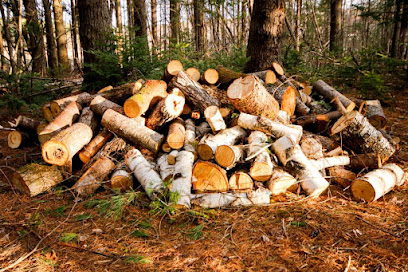 Camabois Bois De Chauffage à Camarès