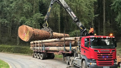 Vignon Bois, Négociant en Bois à Saint-Denis-lès-Bourg