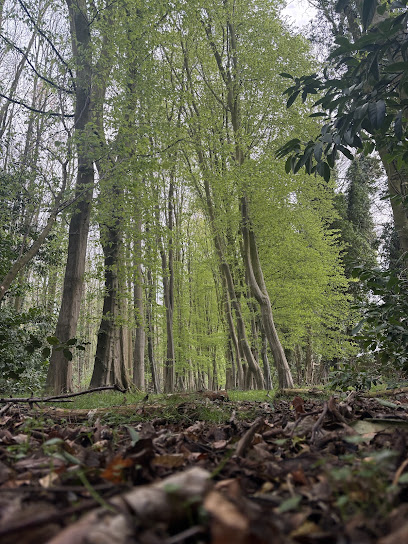 Exploitation Forestière De L'epinay, Bois De Chauffage à Toussaint