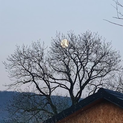 Laurence, Vendeur de Bois de Chauffage à Sancey
