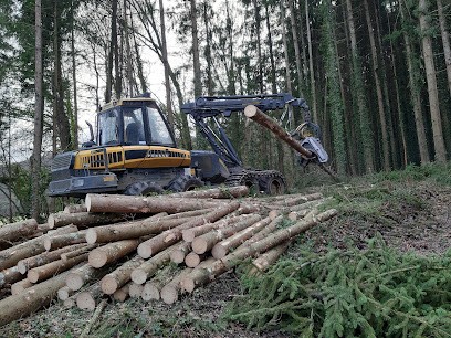 Gonnot Bois SARL, Vendeur de Bois de Chauffage à Pont-d'Ain