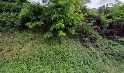 AZOBE, Négociant en Bois à Drumettaz-Clarafond