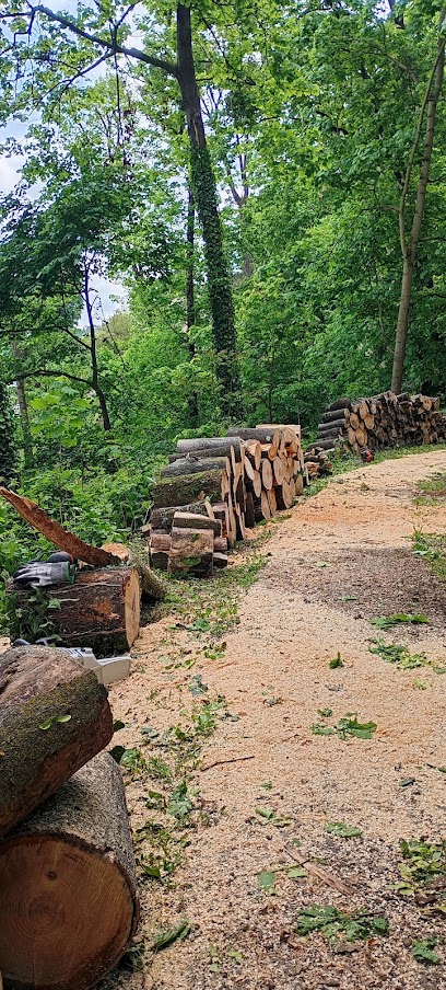 Le Moulin A Bois, Bois De Chauffage à Soucieu-en-Jarrest