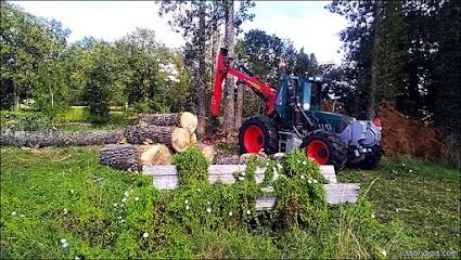Saint Jory Bois, Vendeur de Bois de Chauffage à Saint-Jory-las-Bloux