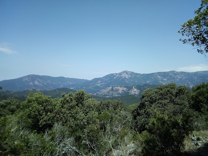 SARL PEDANI, Vendeur de Bois de Chauffage à Cauro