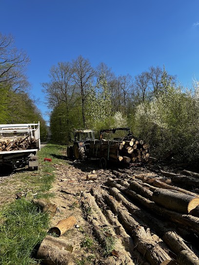 SARL Ced & Co, Vendeur de Bois de Chauffage à Villers Stoncourt