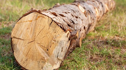 GUY PIROIRD ET FILS, Vendeur de Bois de Chauffage à Villette-de-Vienne