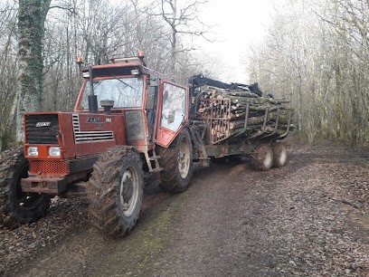 Boutsoque Dylan, Vendeur de Bois de Chauffage à Autreville-sur-la-Renne