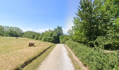 Nicollet Sas, Vendeur de Bois de Chauffage à Assieu
