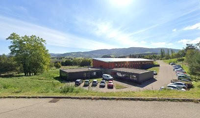 Avenir bois de chauffage, Vendeur de Bois de Chauffage à Saint-Jean-Bonnefonds