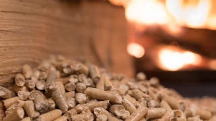 Entreprise Dubobois, Vendeur de Bois de Chauffage à Mesnil-en-Ouche