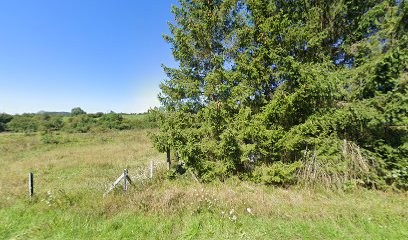 Junker Jean-Robert, Vendeur de Bois de Chauffage à Monneren