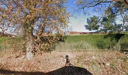 Augereau Sarl, Vendeur de Bois de Chauffage à La Peyratte