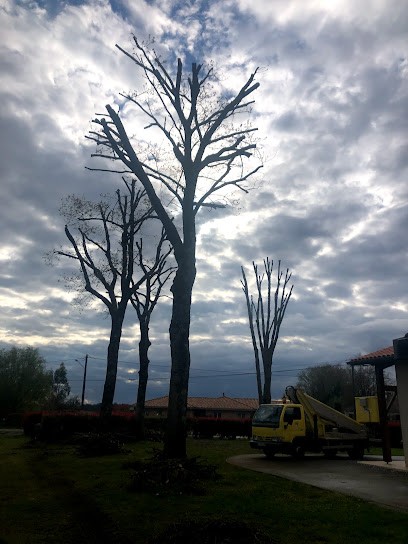 Grenet élagage, Vendeur de Bois de Chauffage à Habas