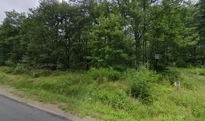 Arbor Essence d'Energie, Négociant en Bois à Veilleins