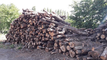 Exploitation Forestiere GRONDIN Louis, Vendeur de Bois de Chauffage à Soullans
