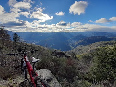 apex bois, Vendeur de Bois de Chauffage à Saint-Michel-de-Chabrillanoux