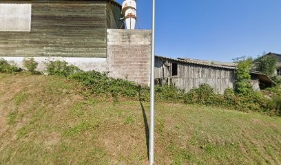 Falcon Fils, Négociant en Bois à Val d'Arcomie