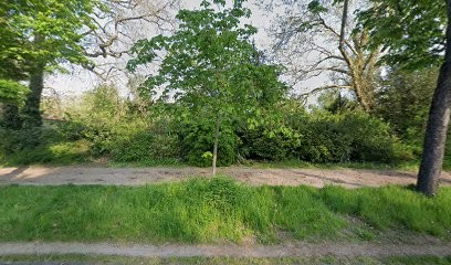 Le Commerce du Bois, Négociant en Bois à Nogent-sur-Marne