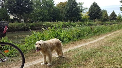 Lafferrière, Négociant en Bois à Vierzon
