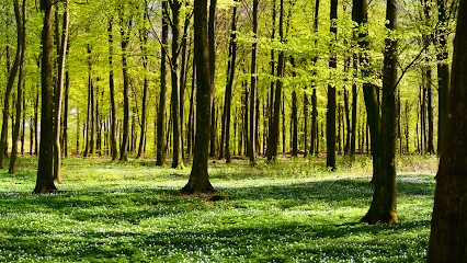 UNIBATIBOIS, Vendeur de Bois de Chauffage à Marolles-en-Hurepoix