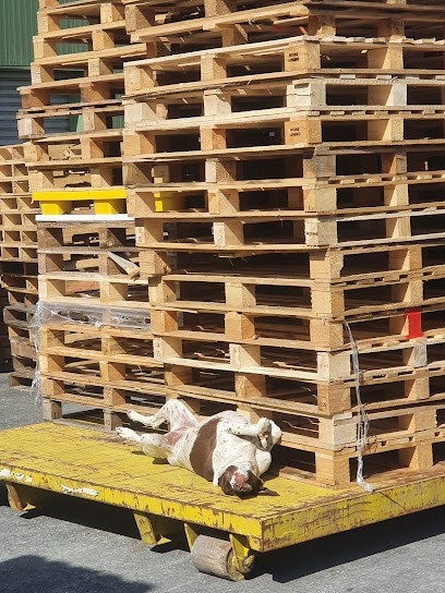 Goesens Père Et Fils, Négociant en Bois à Breuil-le-Vert