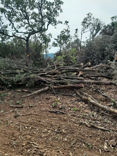 La Bûche Du Sud, Bois De Chauffage à Saint-Privat-des-Vieux