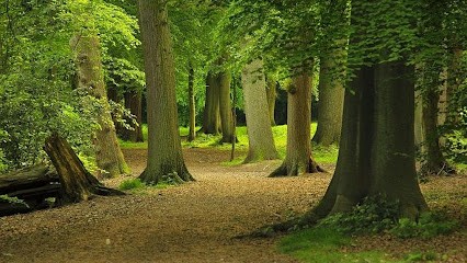 Forez Combustibles Eco, Vendeur de Bois de Chauffage à Poncins