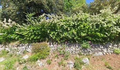 Fioul 83, Vendeur de Bois de Chauffage à Vidauban